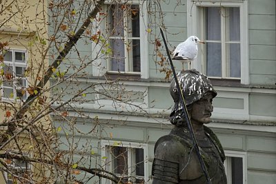 dsc09688bruncvik.jpg