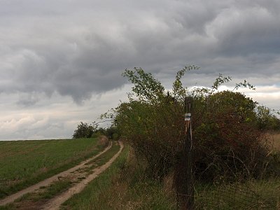 dscn0672-cesta-po-modre.jpg