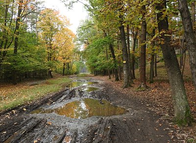 dscn1090-jesovicke-louze.jpg