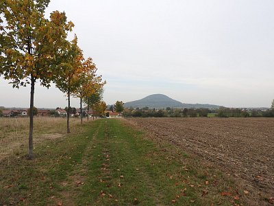 dscn1800-u-mnetese.jpg