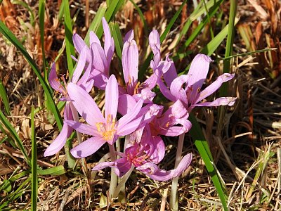 dscn3554.jpg