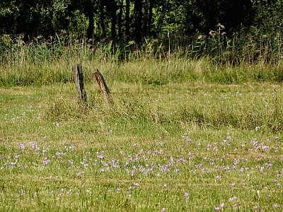 dscn3596.jpg
