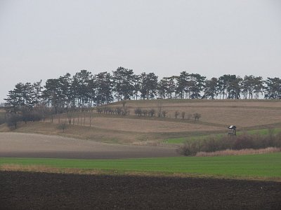 dscn4072-krajina.jpg