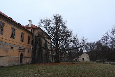 dscn4168-jinan-dvoulalocny.jpg