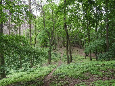 dscn4711-vrcholova-szezka.jpg