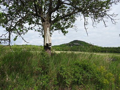 dscn4851-kabat-na-strome.jpg