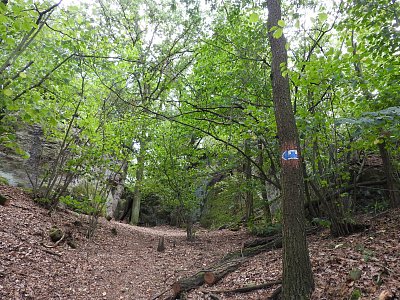 dscn5913-mezi-skaly.jpg