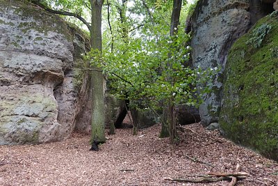 dscn5914skalni-branka.jpg