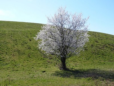 dscn6006-3.jpg