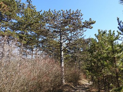 dscn6029-3.jpg