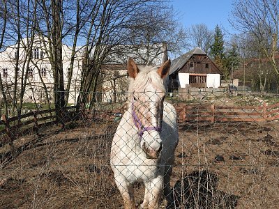 dscn6319-1.jpg
