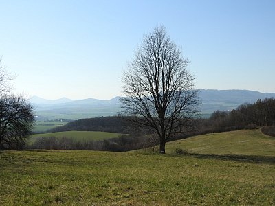 dscn6372cestou-k-rozhledne.jpg