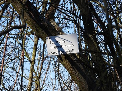 dscn6450-2.jpg