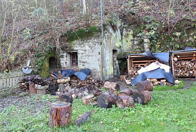 dscn6624-skalni-sklipek.jpg