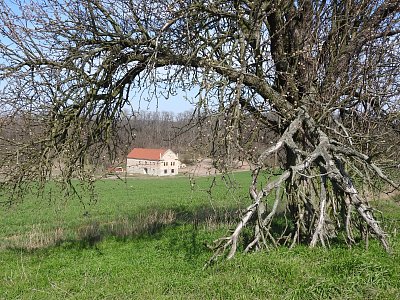 dscn6660-vladidmirov.jpg