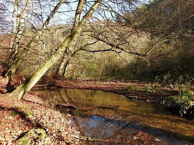 dscn6673-psovka.jpg