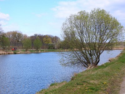dscn8760.jpg