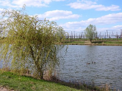 dscn8778.jpg