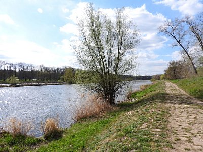 dscn8894.jpg