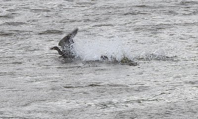 dscn8921-3.jpg