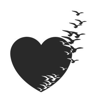 heart-2466384-340.jpg