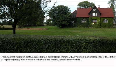 i03.jpg