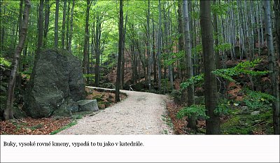 i05.jpg