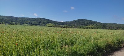 img-20240523-091702.jpg