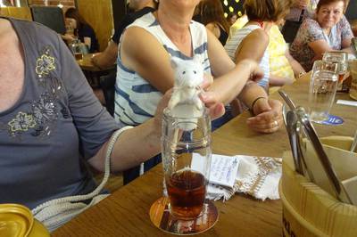 no-jen-si-dej-kozla.jpg
