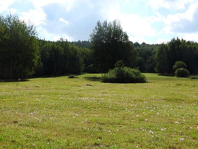 ocunova-louka-5.jpg