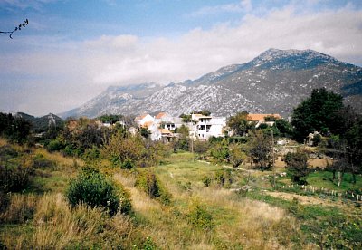 omis-2-kopie.jpg