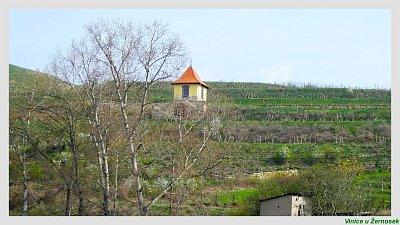 p1170793-16.jpg