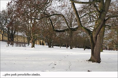 peruc-03.jpg