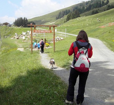 Blumenweg