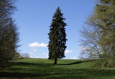 Solitér ....